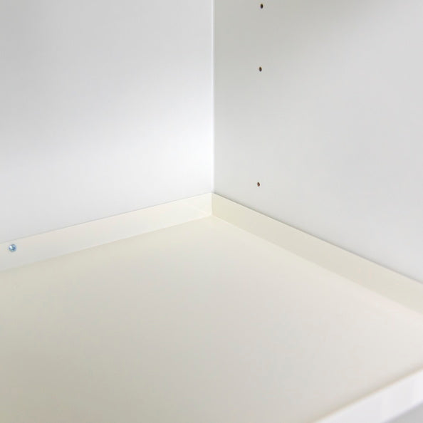 2- door tall safety cabinet Type 60
