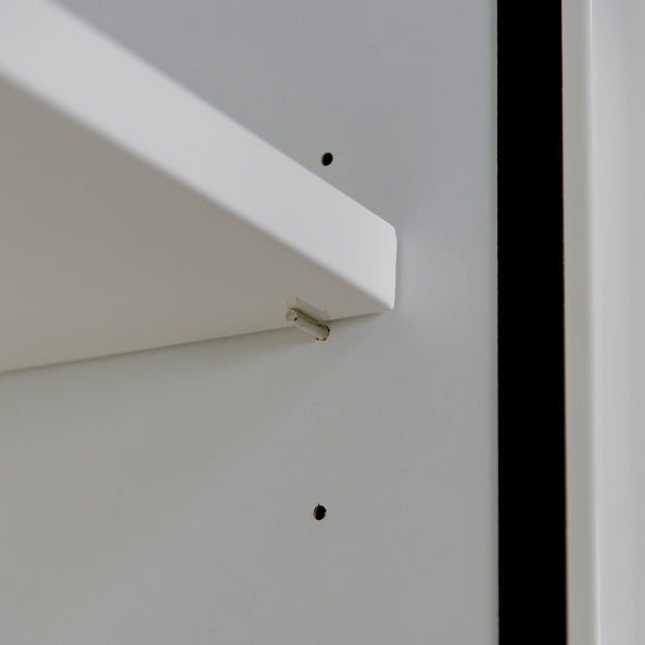 1- door working cover safety cabinet Type 60